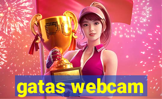 gatas webcam